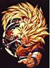Ss3_Goku_03.jpg