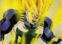 vegeta71o.jpg